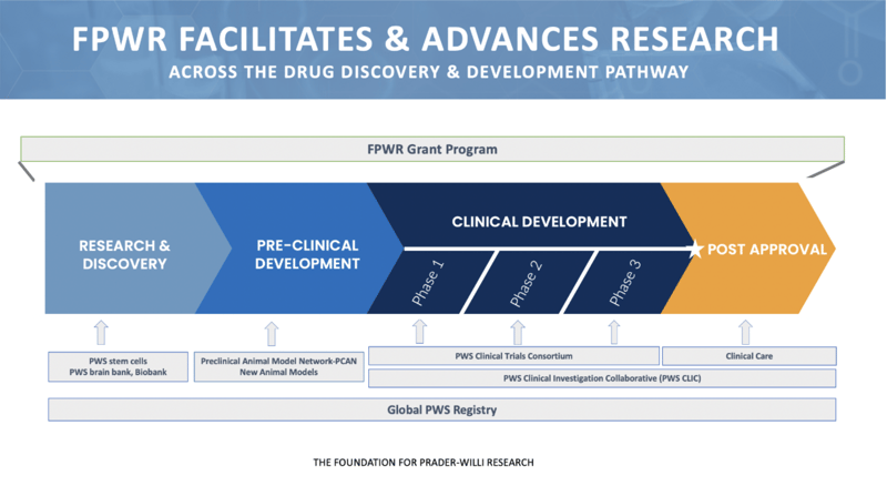 Understand Drug Development for Rare Diseases Free Online Series